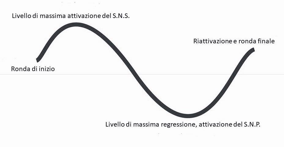 immagine soggetta copyright. I diritti sono riservati